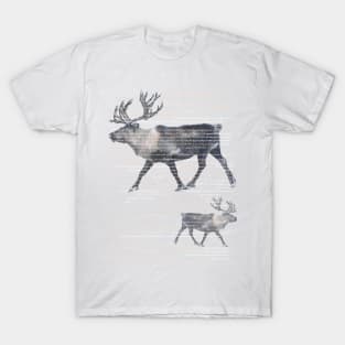 Two Reindeers. T-Shirt